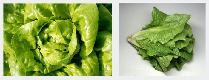 salata